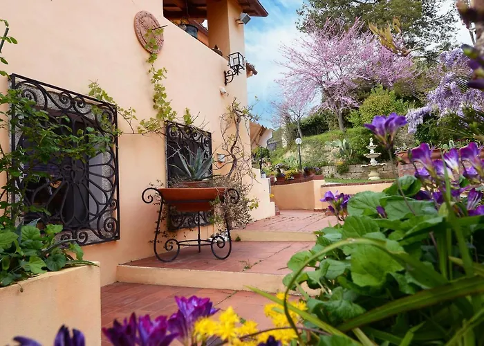 B&B Glicine